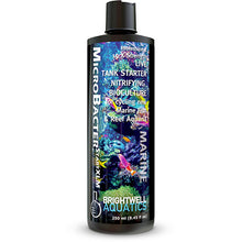 Brightwell MicroBacterSTARTXLM - Professional 15X Strong Nitrifying Tank Starter Bacteria Culture - 250 ml /8.5 fl. oz.