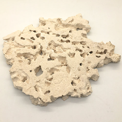 Key Largo Prime Foundation Cut BOTH sides Rock (Sold per LB)