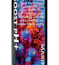 Brightwell Aquatics Boost pH+, 1L