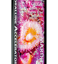 Brightwell Aquatics Coralline Accelerator - 2L