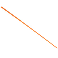 Fluorescent Coral Pointers - Translucent Orange