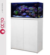 Reef Octopus Octo Lux 32gal Aquarium System - WHITE