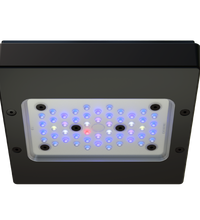 Radion XR15G6BLUE