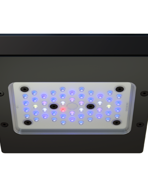 Radion XR15G6BLUE