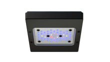 Radion XR15G6BLUE