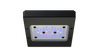 Radion XR15G6BLUE