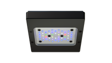 Radion XR15G6PRO