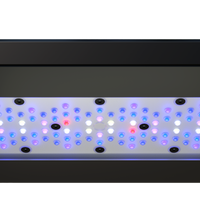 Radion XR30G6BLUE