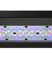 Ecotech Radion XR30 G6 PRO LED Light – Premium Aquatics Ecotech Radion XR30 G6 PRO LED Light – Premium Aquatics
