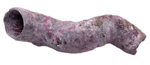 Tropic Eden Morroca Cocoworm Fish Home Tube - XL