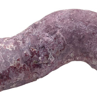Tropic Eden Morroca Cocoworm Fish Home Tube - L