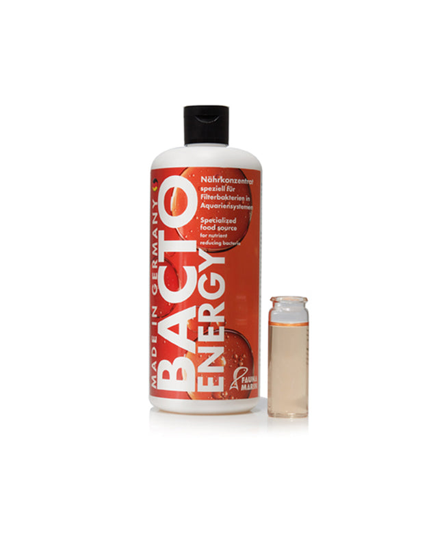 Fauna Marin Bacto Energy 100 ml