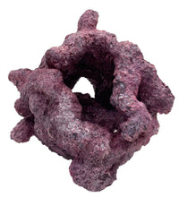 Tropic Eden Morroca Reef Cradle Rock - Small ONE Piece (1.8 - 3.2 lbs)
