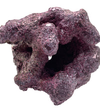 Tropic Eden Morroca Reef Cradle Rock - Small ONE Piece (1.8 - 3.2 lbs)