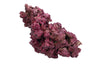 Real Reef DRY Rock - 40LB BOX