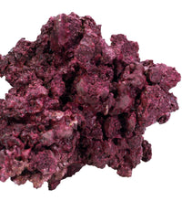 Real Reef DRY Rock - 40LB BOX