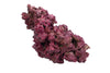 Real Reef DRY Rock - 5LB BOX
