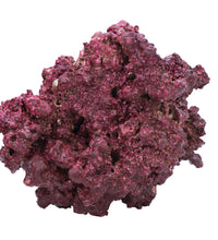 Real Reef DRY Rock - 5LB BOX