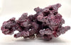 Tropic Eden Morroca Irregular Rock 1 Extension - Small - ONE Piece (1.95-2.5lbs)
