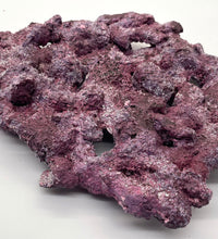Tropic Eden Morroca Shelf Rock - Med - ONE Piece (3.7-4.2lbs)
