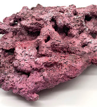 Tropic Eden Morroca Shelf Rock - Large - ONE Piece (5.2-6.77lbs)