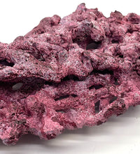 Tropic Eden Morroca Shelf Rock - Large - ONE Piece (5.2-6.77lbs)