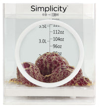 Simplicity Coral Dipping Container