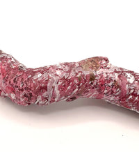Tropic Eden Morroca Cocoworm Fish Home Tube - Med
