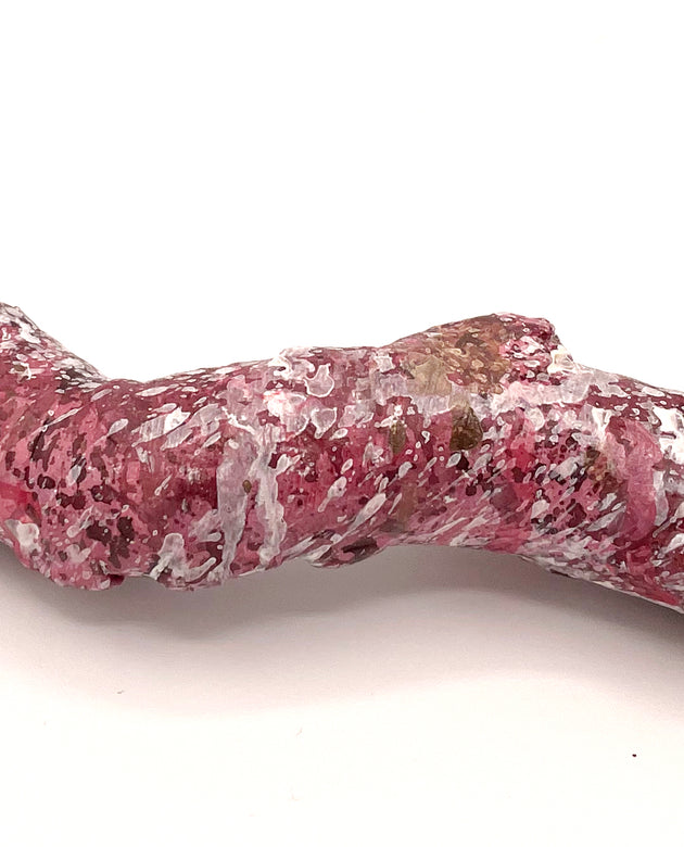 Tropic Eden Morroca Cocoworm Fish Home Tube - Med