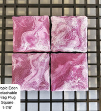 Tropic Eden Detachable Coral Frag Plug Square 1-7/8