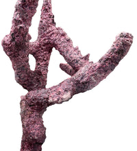 Tropic Eden Morroca Branch Rock - Tripod Long Stem 10