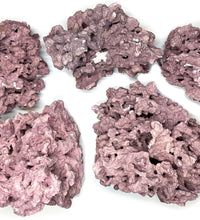 Marco Reef Saver Coralline Rock (20lb Box)