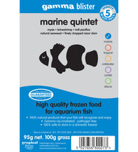 Gamma Blister Pack: Marine Quintet