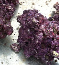 Real Reef Live DRY LIVE Rock  (sold per pound)