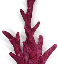 Real Reef Fancy BRANCH Rock (Sold Per LB)