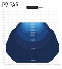 Aquaray P9