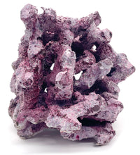 Tropic Eden Morroca Irregular Rock - Medium - FOUR Piece Rock Box