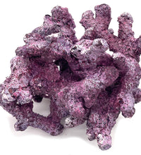 Tropic Eden Morroca Irregular Rock - Large - ONE Piece (approx 5lbs)