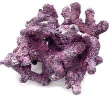 Tropic Eden Morroca Irregular Rock - Large - ONE Piece (approx 5lbs)