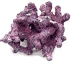 Tropic Eden Morroca Irregular Rock - Large - ONE Piece (approx 5lbs)
