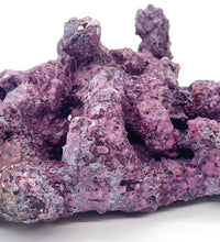 Tropic Eden Morroca Rock - Foundation Reef - Medium - ONE Piece (approx 1lbs)