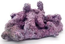 Tropic Eden Morroca Rock - Foundation Reef - Medium - ONE Piece (approx 1lbs)