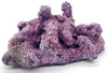 Tropic Eden Morroca Rock - Foundation Reef - Medium - ONE Piece (approx 1lbs)