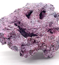 Tropic Eden Morroca Rock - Foundation Reef - Medium - ONE Piece (approx 1lbs)