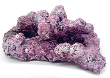 Tropic Eden Morroca Rock - Foundation Reef - Small - ONE Piece (approx 1/2 lbs)