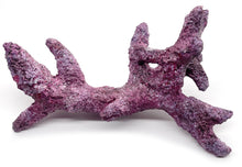 Tropic Eden Morroca Rock - Kraken Branch(M) 17"-19"
