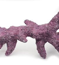 Tropic Eden Morroca Rock - Kraken Branch(M) 17