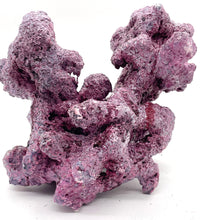 Tropic Eden Morroca Irregular Rock 2 Extension - Med - ONE Piece (3.5-4.5lbs)