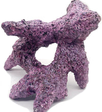 Tropic Eden Morroca Rock - Irregular Branch 8