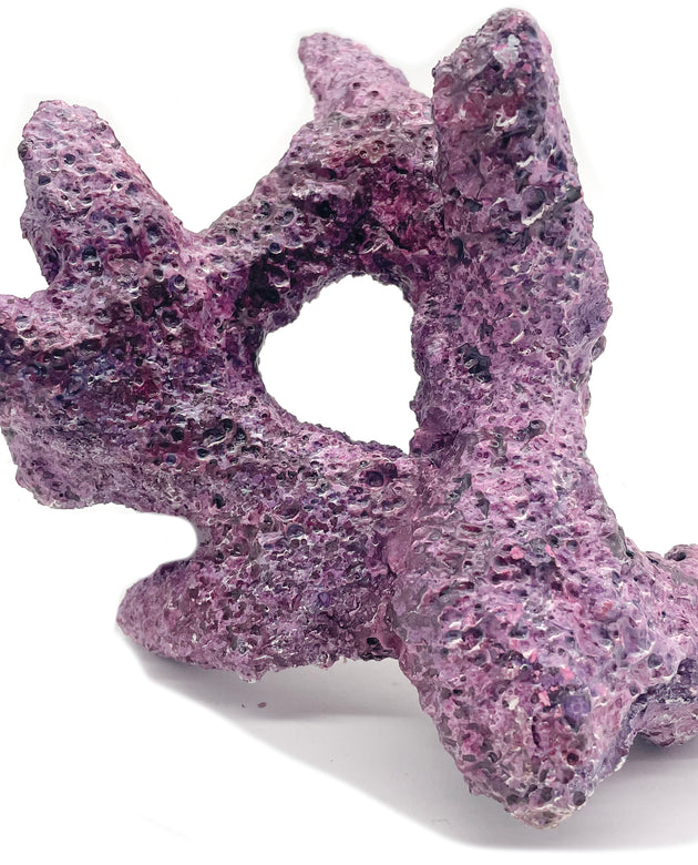Tropic Eden Morroca Rock - Irregular Branch 8